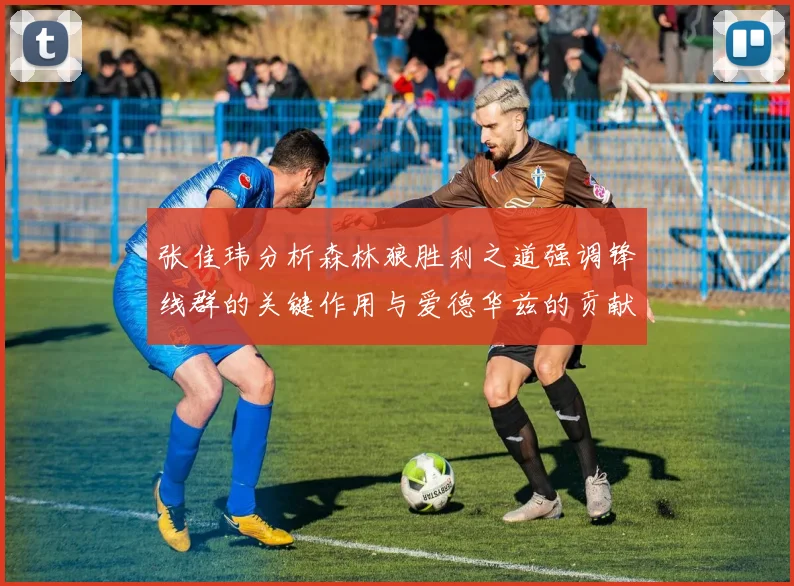张佳玮分析森林狼胜利之道强调锋线群的关键作用与爱德华兹的贡献